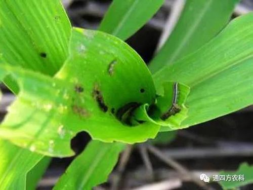 ���הQ����ô�k����ץ�o��Q��(hu��)Ӱ푮a(ch��n)��!!!