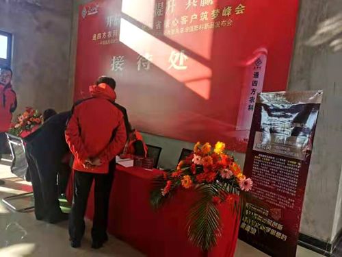 ����_������|����ʡ����